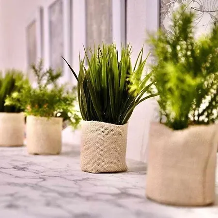 Juliet - Kalima 1 Appartement